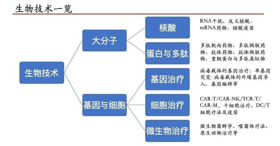 如何发现和评估生物医药产业的黑马?|嘉和硬科技捕手记