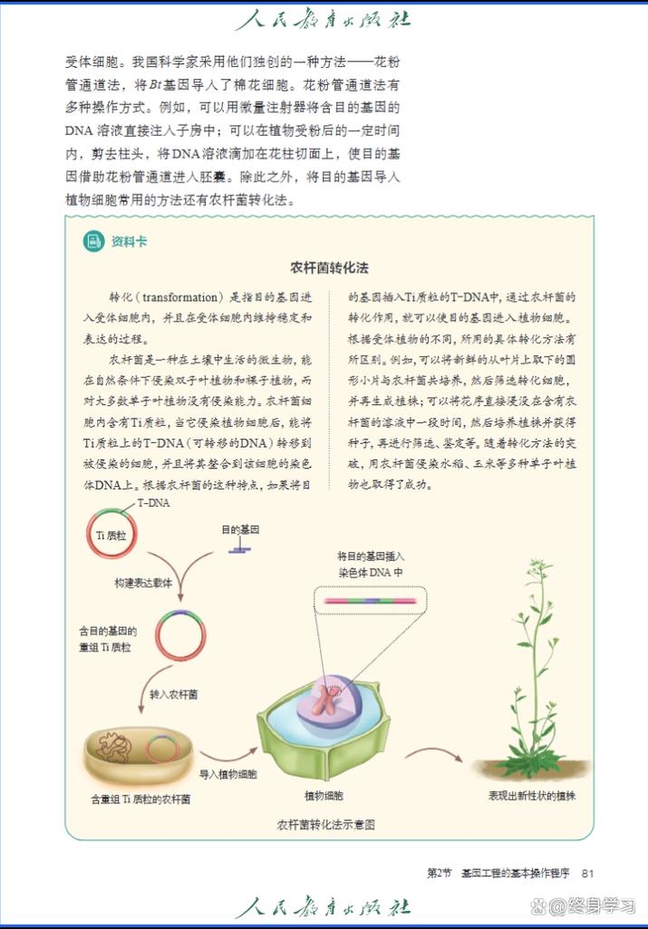 生物技术 从传统酿造到现代工程的跨越