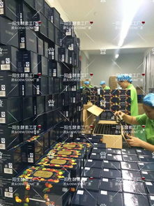 福建生物技术优势 专业酵素代加工与酵素工厂的崛起